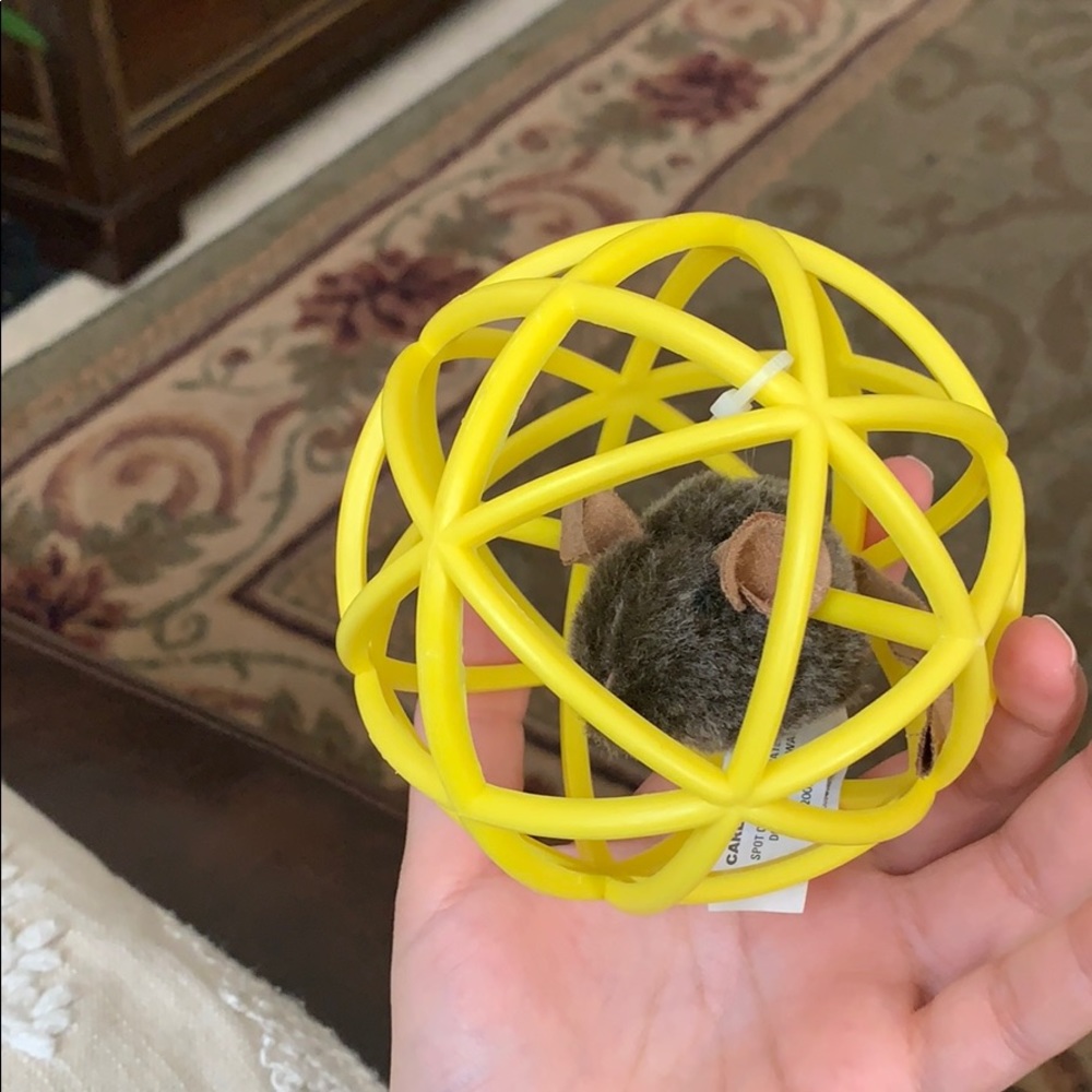 Cat toy